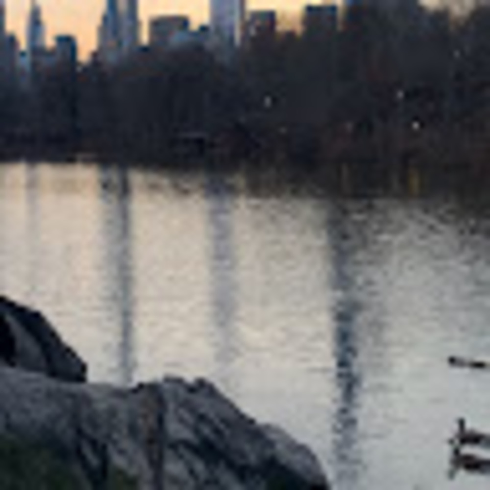 Meet your Posher, Bella